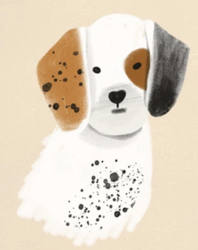 CS Animals Notepads - Kitty