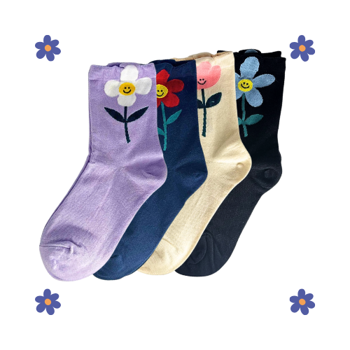 Lazy Daisy Socks (Beige,Blue,Purple & Black)